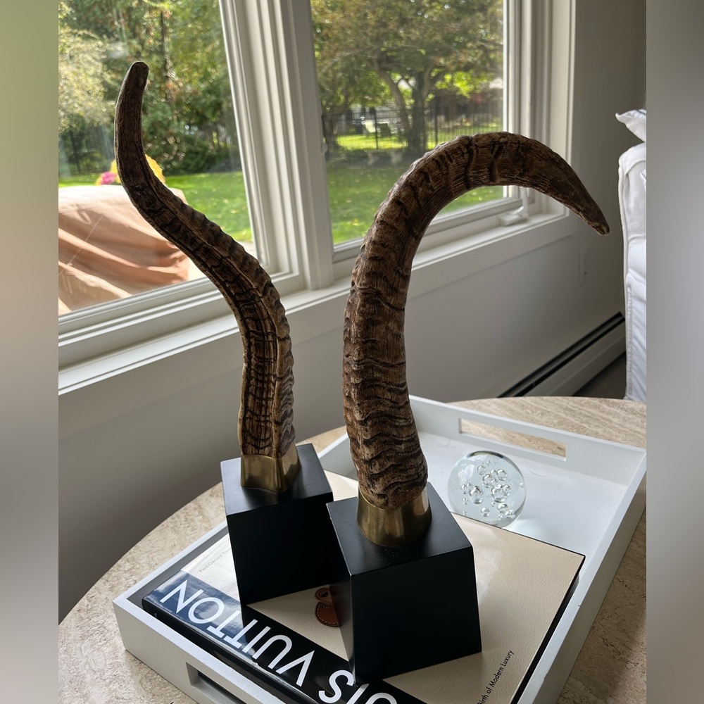 Decorative vegan horns